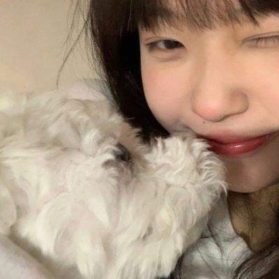 kok全站app官网登录入口